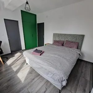 Gazde/Camere de închiriat Cozy Near City Center, Parks And Metro, Bucureşti